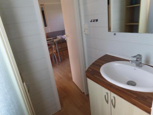 une salle de bain avec un lavabo et un miroir dans l'établissement Mobil home dans un camping 5 à Deauville, à Saint-Arnoult