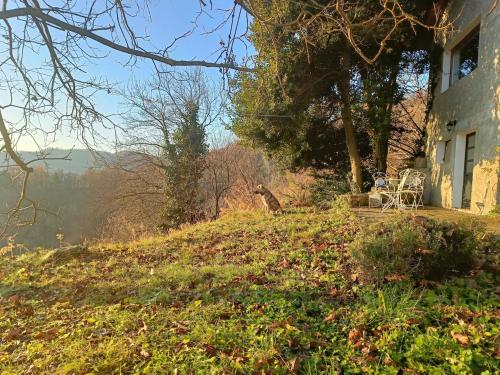 a giraffe standing on a hill next to a house at Casetta nella Città Invisibile in Piana Crixia