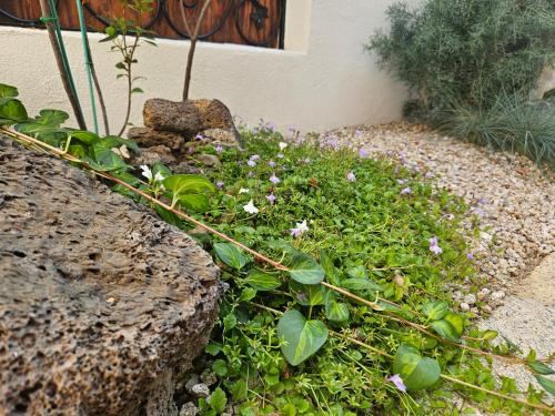 a garden with purple flowers and a rock at SiEunJae in Gyeongju