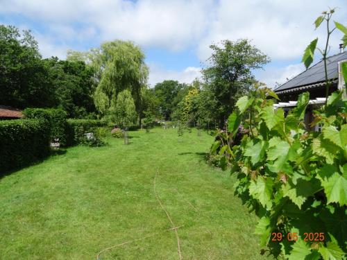a grassy yard with trees and a building at Vakantieverblijf de Barre Hichte, Grindweg 4 Nijeberkoop in Nijeberkoop
