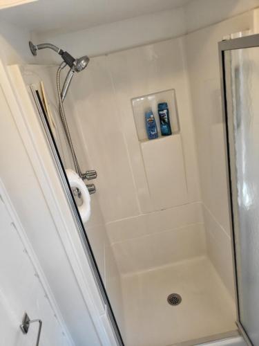 a shower in a bathroom with a glass door at Crescent Vintage Cottage in Myrtle Beach