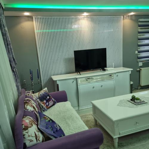a living room with a purple couch and a tv at Ramonda Smještaj in Tuzla