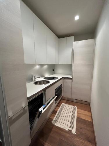 a small kitchen with white cabinets and a sink at Lagotto House-Apartment in the Langhe in Novello