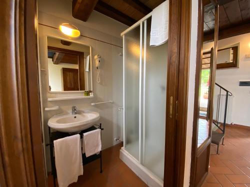 a bathroom with a sink and a shower at Agriturismo Tenuta Badia in Paciano