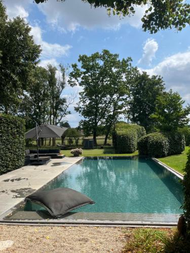 a swimming pool in the middle of a yard at Basement Tomorrowland 2025 in Mellet