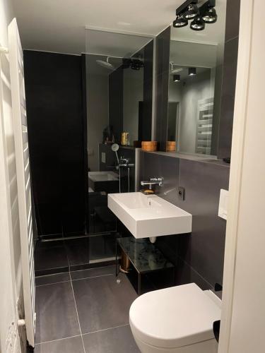 a bathroom with a sink and a toilet and a mirror at Basement Tomorrowland 2025 in Mellet