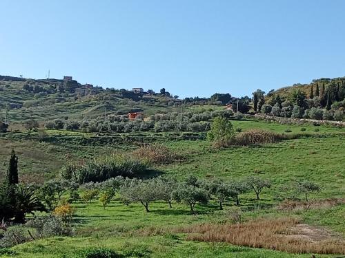 a green field with trees and bushes on a hill at Casa Presenza in Santa Elisabetta