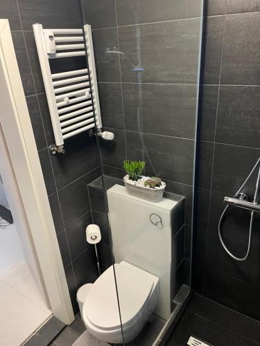 a small bathroom with a toilet and a shower at Ferienwohnung SPA Delluxe 2 in Mülheim an der Ruhr
