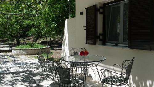 Сад в Orange Grove Suites