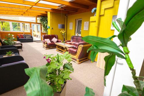 a living room with couches and chairs and plants at Pension Village in Naumburg