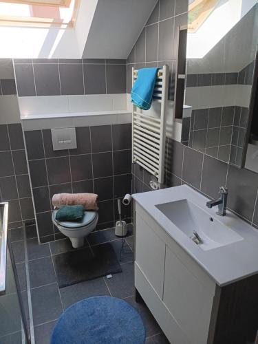 a bathroom with a toilet and a sink at Chambre - Sdb Privative - Super Vue in Pallud