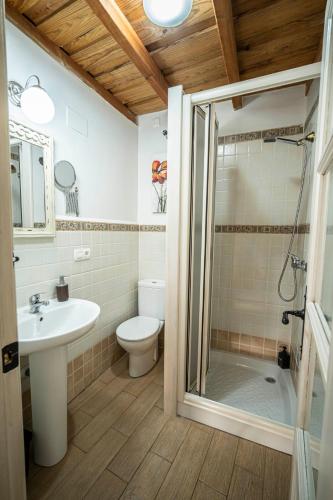a bathroom with a shower and a toilet and a sink at Casa Rural La Barquilla in Acebo