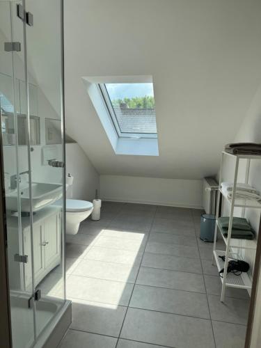 a bathroom with a toilet and a skylight at Ferienwohnung Immenzaun in Isernhagen