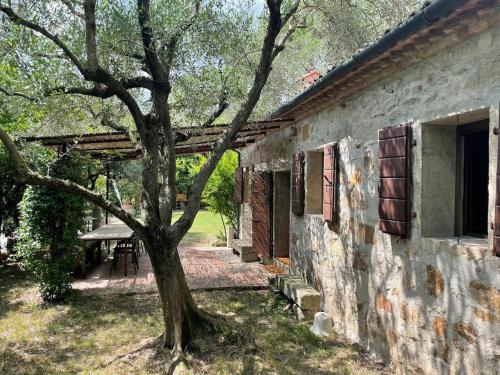 an old stone building with a tree next to it at La Bicocca in Montegrotto Terme