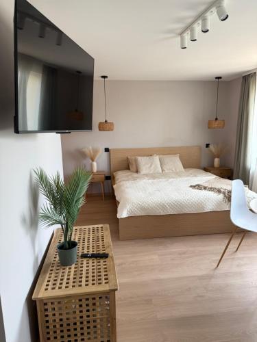 a bedroom with a bed and a tv on a wall at Cozy Seaside apartments in Carnikava