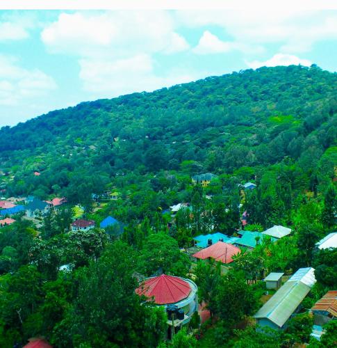 a view of a village with a mountain at Skill forest lodge in Arusha