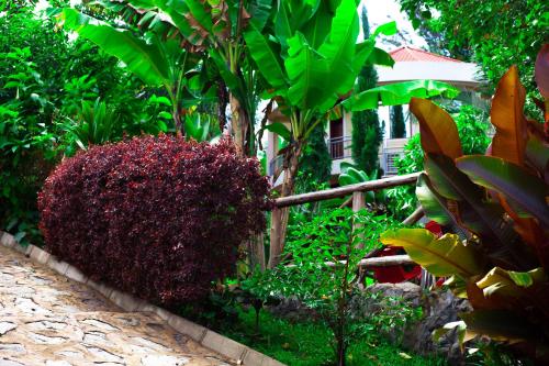 a garden with a red bush next to a fence at Skill forest lodge in Arusha