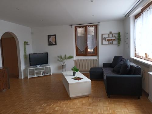 a living room with a couch and a tv at Au cœur de l'Alsace in Duttlenheim