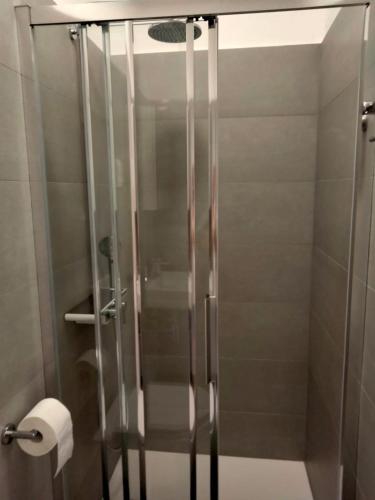 a shower with a glass door in a bathroom at Appartment Brani & Mira in Rukavac
