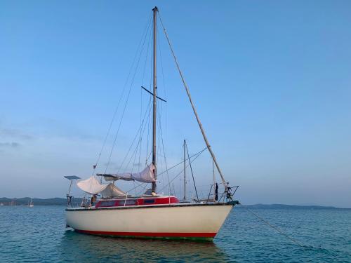 a white boat sitting in the water at Voilier à Porquerolles in Hyères