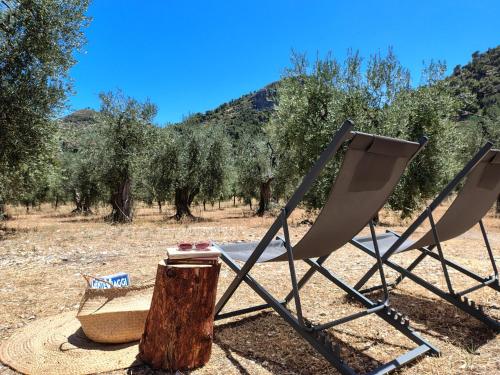 two chairs and a table in a field with trees at Meridiana case al mare in Mattinata