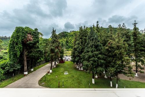 an aerial view of a park with trees at Bamboo Beach Tsikhisdziri Green Heaven in Tsikhisdziri
