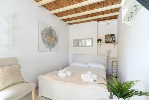 Navona studio with terrace Backpackers