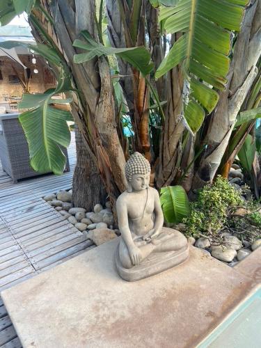 a statue sitting on the ground next to a tree at Dar Harmattan in Essaouira