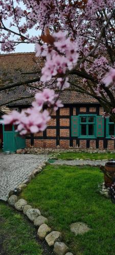 a tree with pink flowers in front of a building at Wygwizdowo 