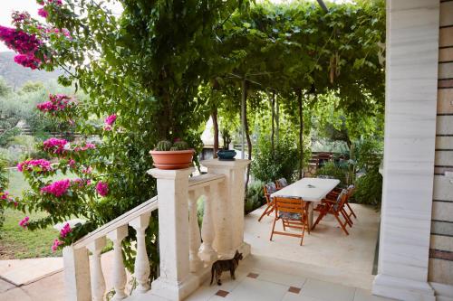 Κήπος έξω από το Villa Serenity