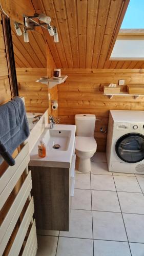 a bathroom with a toilet and a washing machine at Le Domaine de la Répandise in Laveline-du-Houx