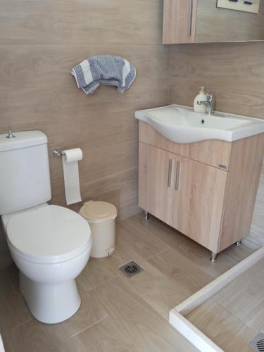a bathroom with a white toilet and a sink at Evoikos beach & resort in Livanátai
