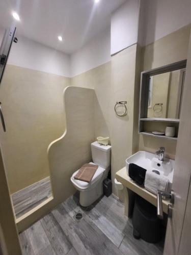 a small bathroom with a toilet and a sink at Romantza δωμάτιο 7 in Mérikhas