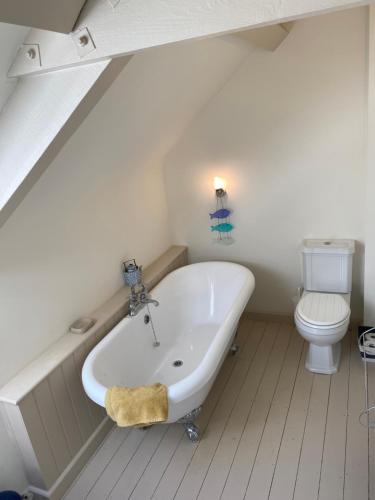 a bathroom with a bath tub and a toilet at Little Llanvolda in Saint Maughans