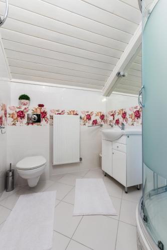 a bathroom with a toilet and a sink at Villa Cynamon Jacuzzi & Sauna in Wisła