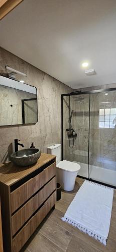 a bathroom with a sink and a toilet and a shower at Casa das Boucinhas in São Sebastião de Penha Longa