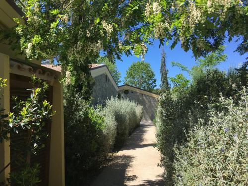 a path through a garden with bushes and trees at Camping Village Rocchette in Castiglione della Pescaia