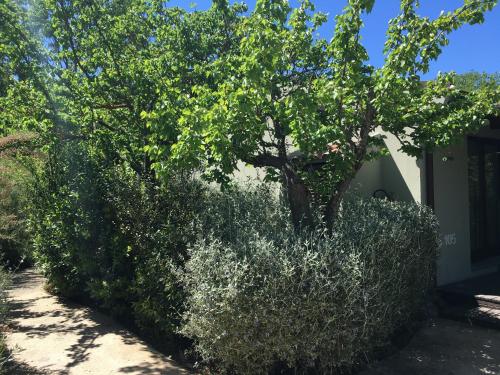 a tree in a hedge in front of a house at Camping Village Rocchette in Castiglione della Pescaia