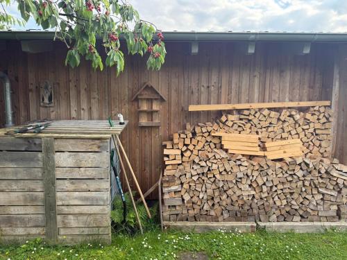 a pile of wood next to a fence at Apartment Heidchen in Knüllwald