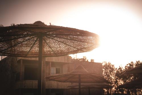 Gallery image of ananea Hurghada - Adults Only in Hurghada