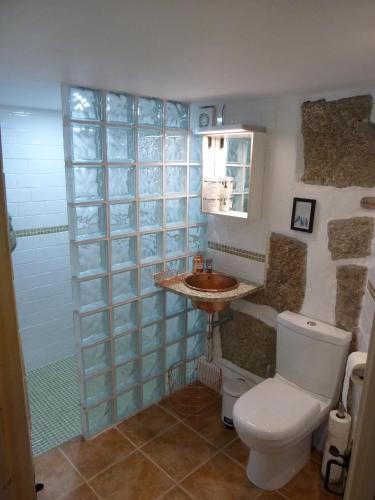 a bathroom with a toilet and a sink at Quinta do Cobral in Oliveira do Hospital