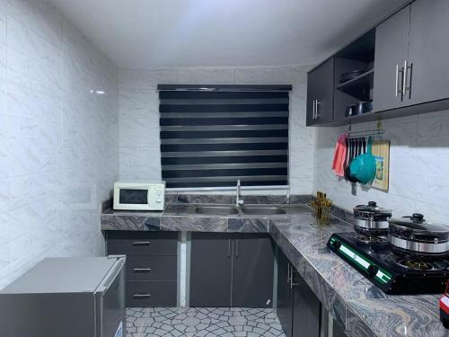 a kitchen with a counter top with a microwave at Exquisite 3Bedroom in Ibadan in Ibadan