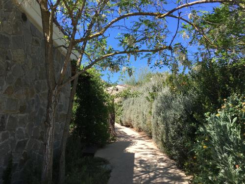 a path with trees and bushes next to a stone wall at Camping Village Rocchette in Castiglione della Pescaia
