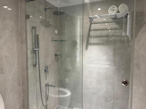 a shower with a glass door in a bathroom at Hotel the Plaza in Hyderabad