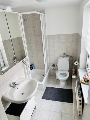 a bathroom with a sink and a toilet and a shower at Gemütliche Wohnung im Gutshaus in Lalendorf