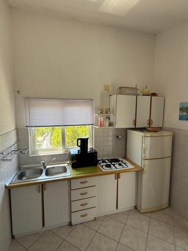 Kuchyň nebo kuchyňský kout v ubytování Apartments Jerković Drašnice-1bd