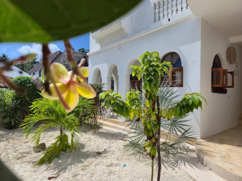 a house with palm trees in front of it at ZamZam House in Jambiani