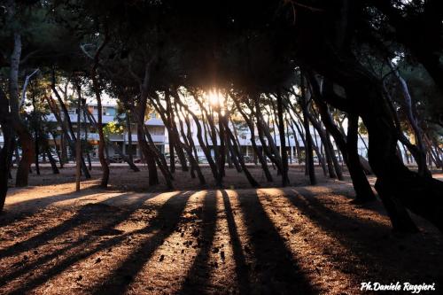 Gambar di galeri bagi Residenza Nonno Mella di Porto SantʼElpidio
