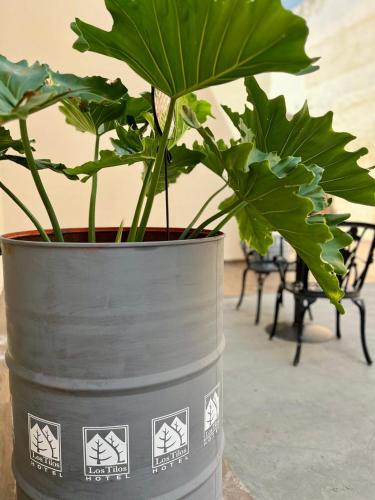 a metal planter with a plant in it at HOTEL LOS TILOS RECONQUISTA in Reconquista