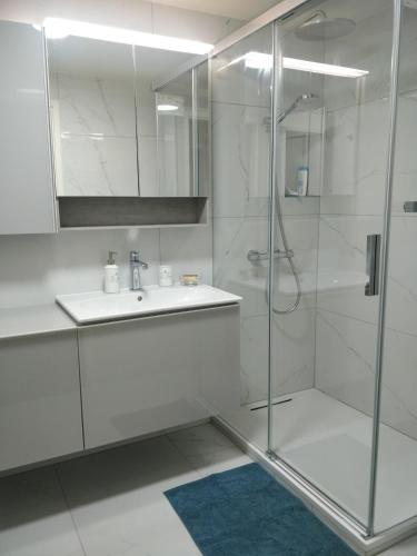 Spacious 2 Bedroom Apartment in Central Geneva